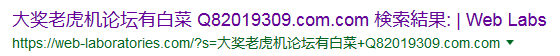 中国語のサイト内検索結果ページ画像